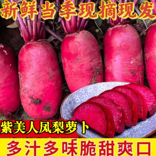 萝卜是头甜还是根甜截图
