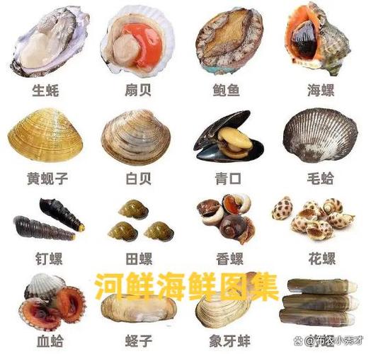 海鲜类品种大全图片图标