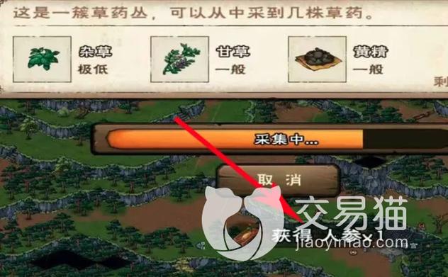 烟雨江湖人参太难了
