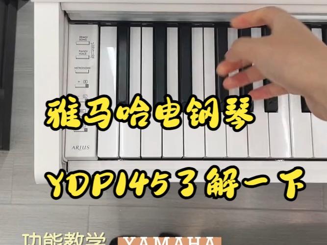 雅马哈电子琴延音键在哪里