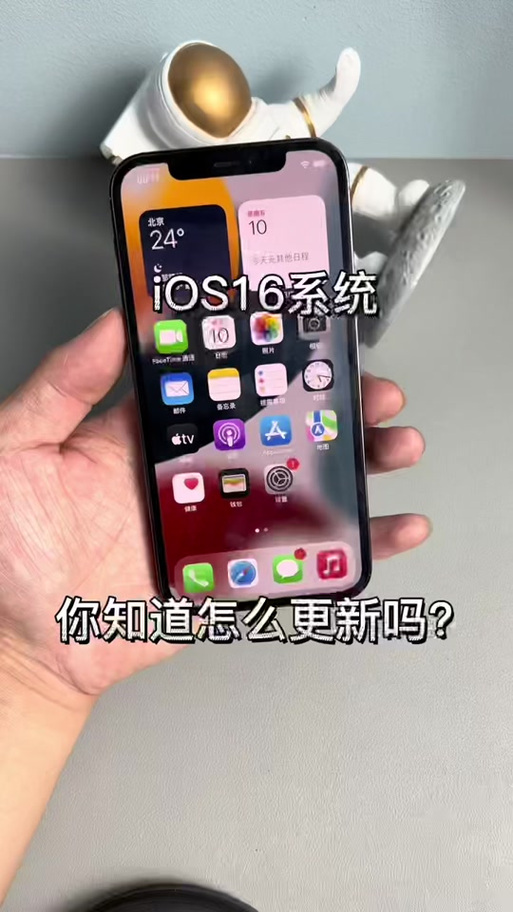 抖音轻量版ios描述文件在哪
