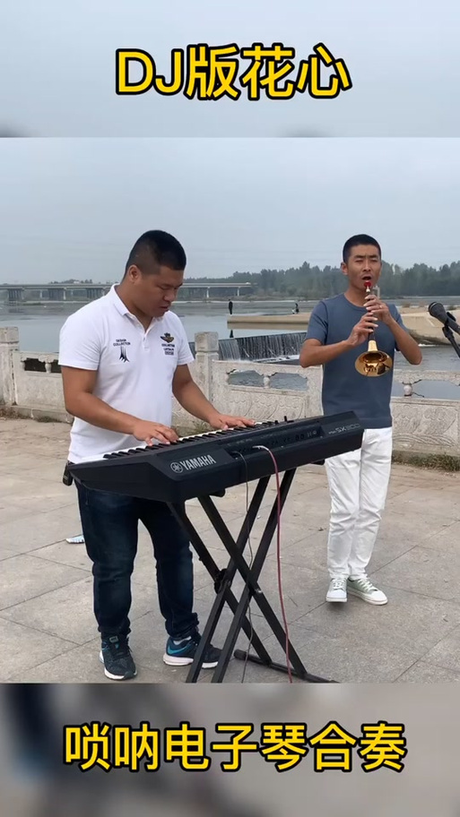 电子琴唢呐独奏dj版图标