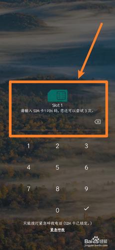 取消sim卡pin码图标
