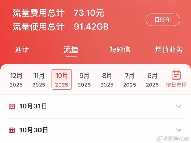 流量1GB