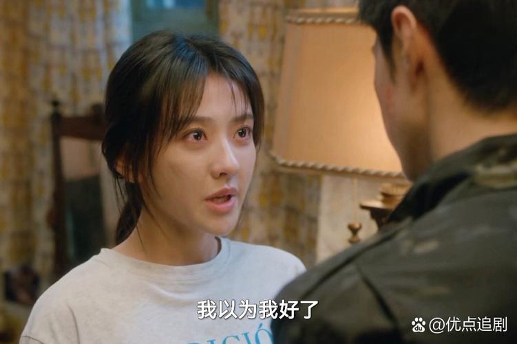 看了七八遍的电视剧