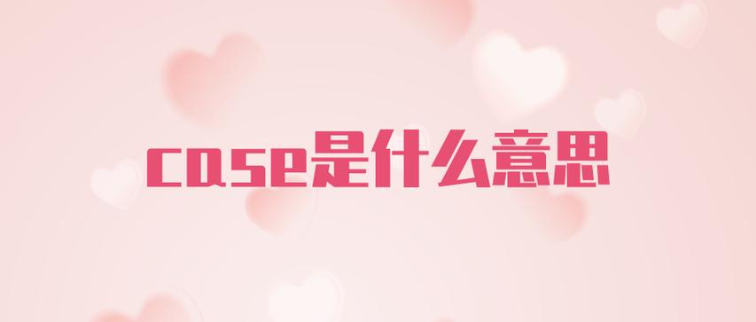 case的意思