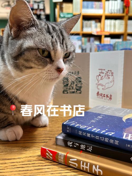 狸猫书舍