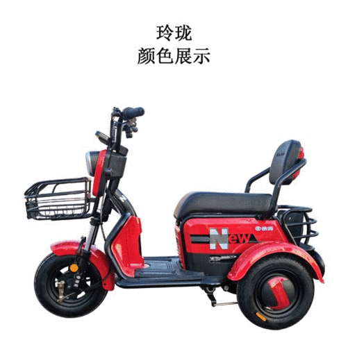赛鸽三轮车全部车型