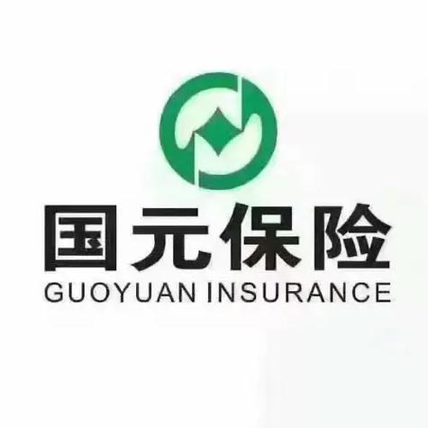 国元车险app