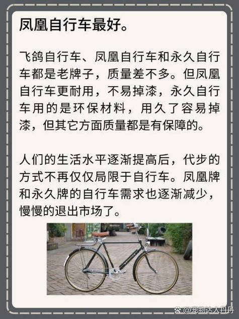 永久、飞鸽、凤凰自行车哪个性价比图标
