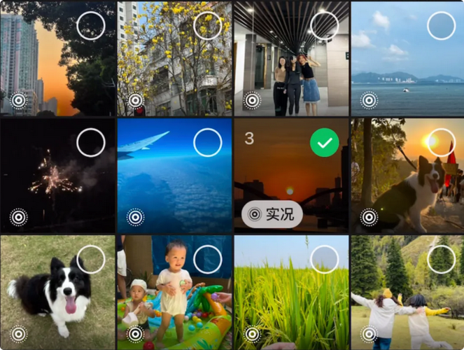 照片转live实况缩略图