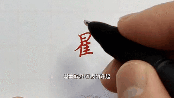 周下面一个走之底读音是什么字