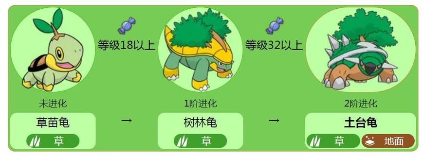 草苗龟的三阶进化图
