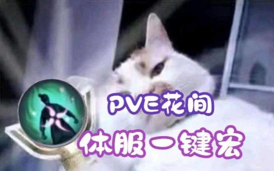 重制版pve花间宏一键宏