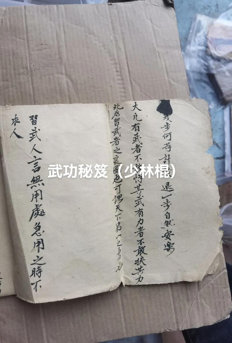千年武功秘籍在哪买