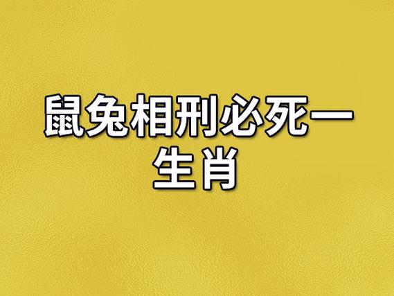 2026年必死丈夫的属相缩略图