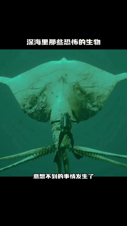 深海大鱿鱼电影