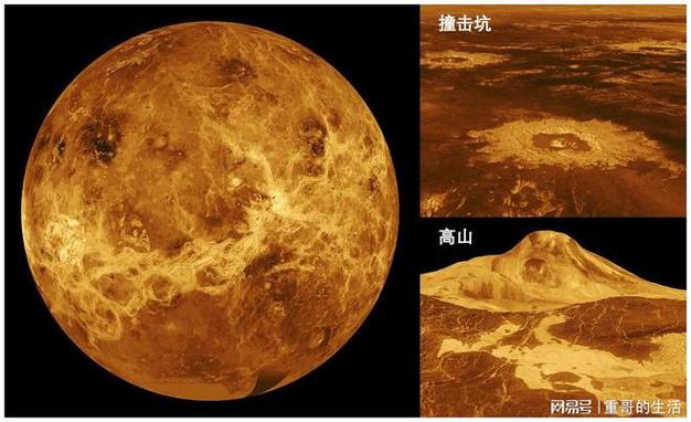 金星 视频