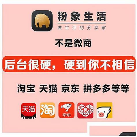 粉象生活加油返现