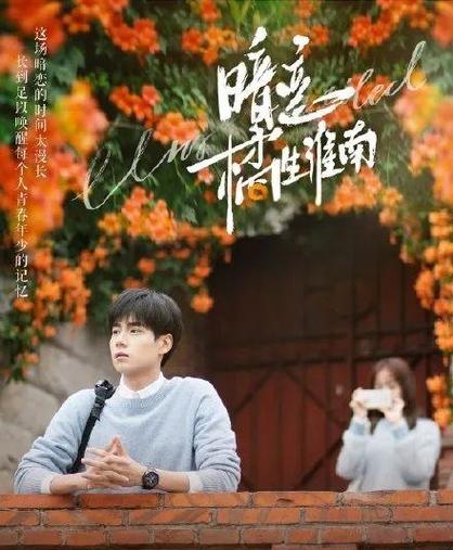《暗恋橘生淮南》电视剧