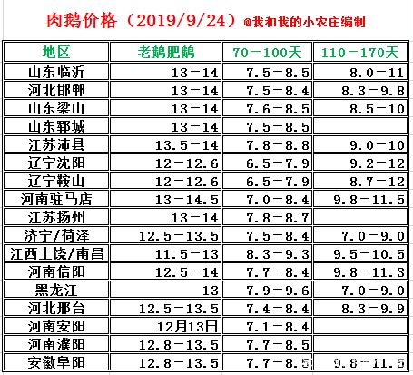养鹅1000只利润一览表图标