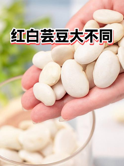 白芸豆和红芸豆的区别截图