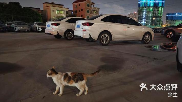 小猫停车怎么自动扣费