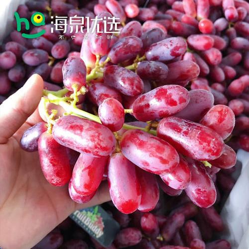 欧米伽红宝石金手指