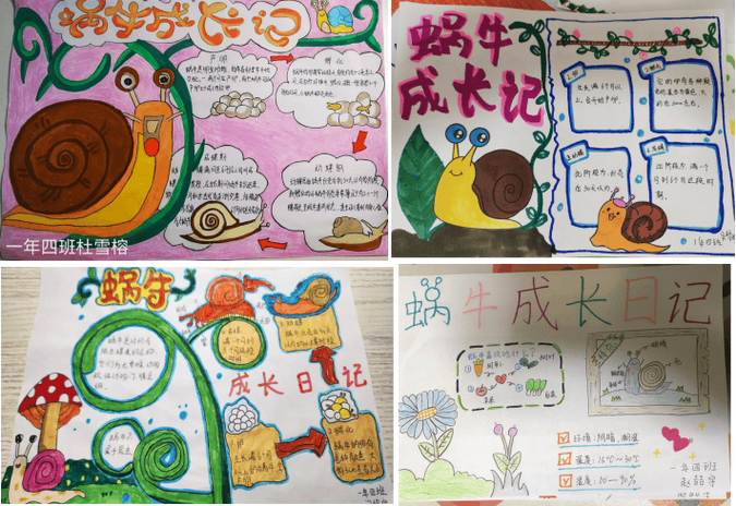 蜗牛的科学知识