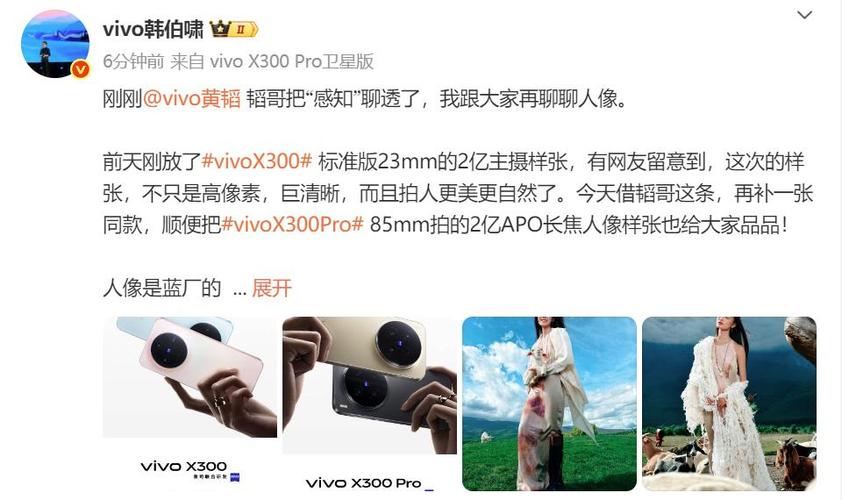 vivox300都啥人再用截图
