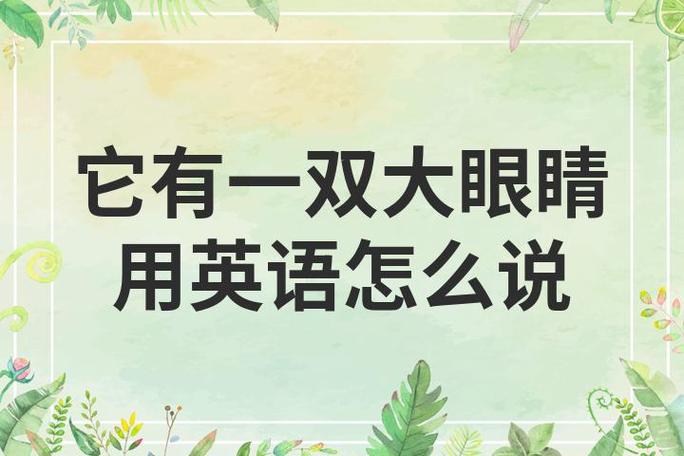 网友说大眼是什么意思