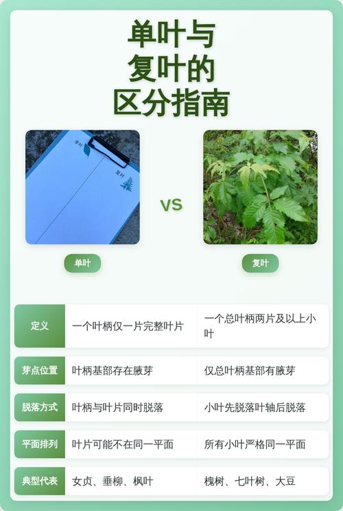 红米turbo系列和k系列的区别