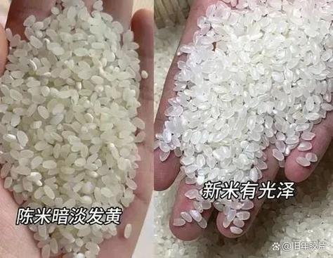 多久的大米算陈米