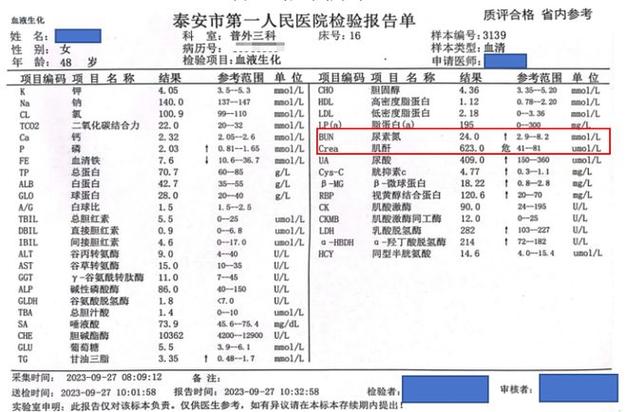 单独TT升高说明什么