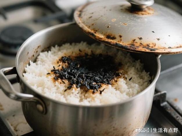 饭糊了怎样去除糊味