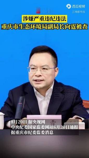 重庆市环保局副局长