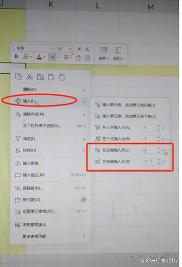 在表格最左边增加一列图标