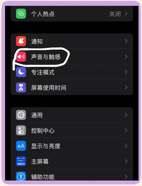 苹果xr静音键在哪