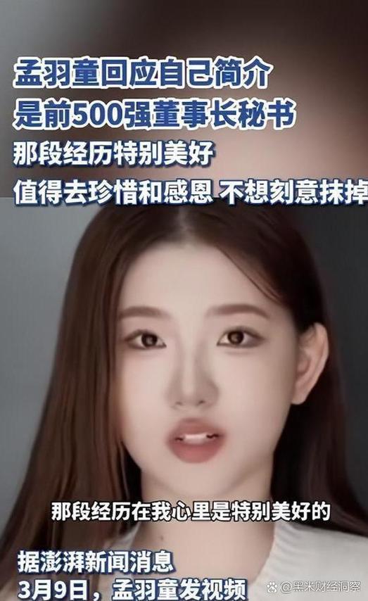 孟羽童简介图标