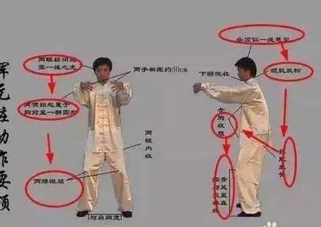 庞鹤鸣三心站桩视频教程