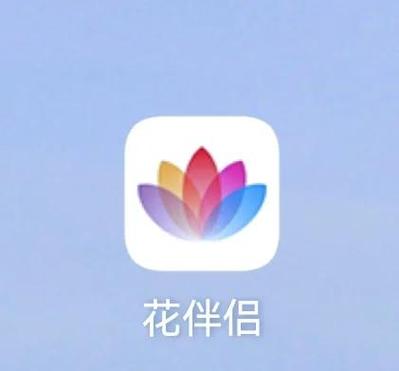 识别花的神器