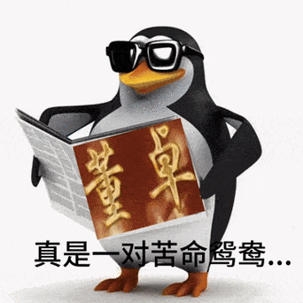 咕咕嘎嘎企鹅GIF动图截图