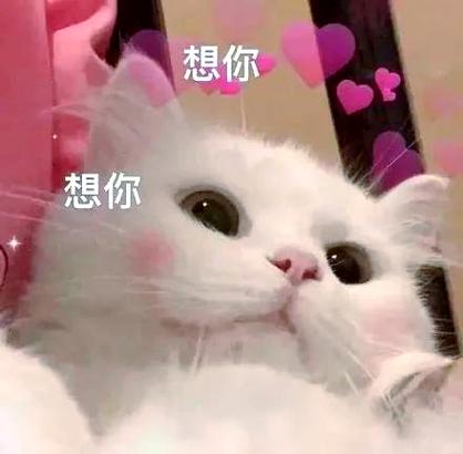 情侣撒娇表情包游戏截图