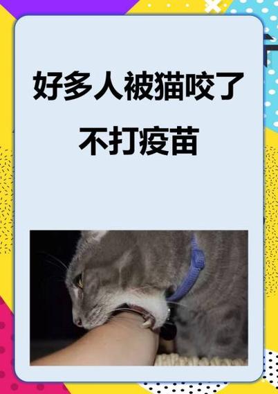 光纤被猫咬断了收费不