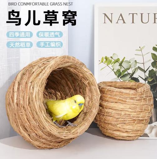 给鹦鹉做个窝