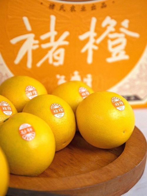 褚橙是哪里的