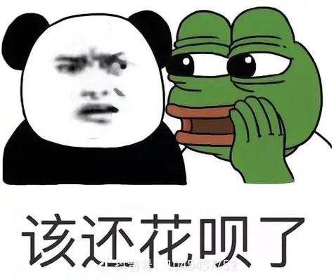 还花呗的扎心文案截图