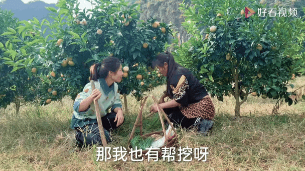 果园聊天是真人聊天吗缩略图