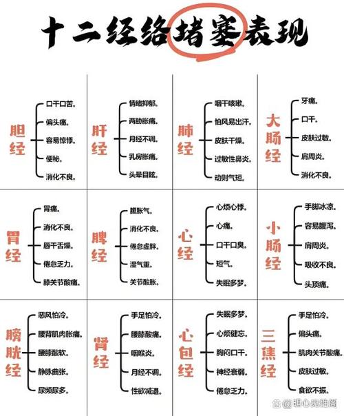 道家打开人体九大窍