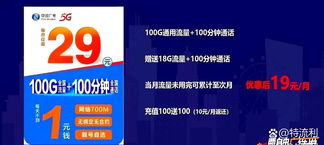 29元100g通用流量
